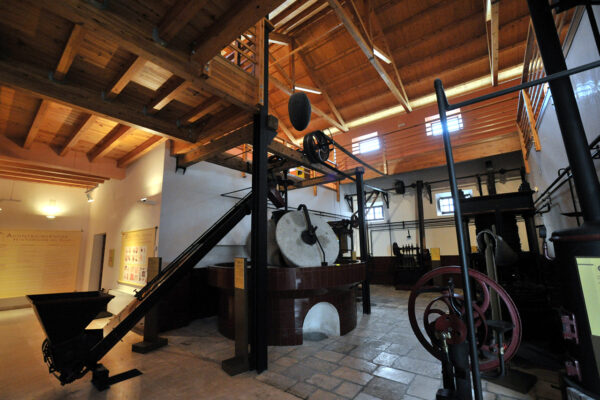 Museo del Olivar y el Aceite