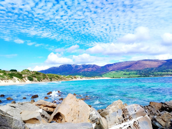 PLAYA DE PUNTA PALOMA
