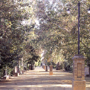 ALAMEDA